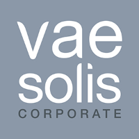 logo Vae Solis Corporate